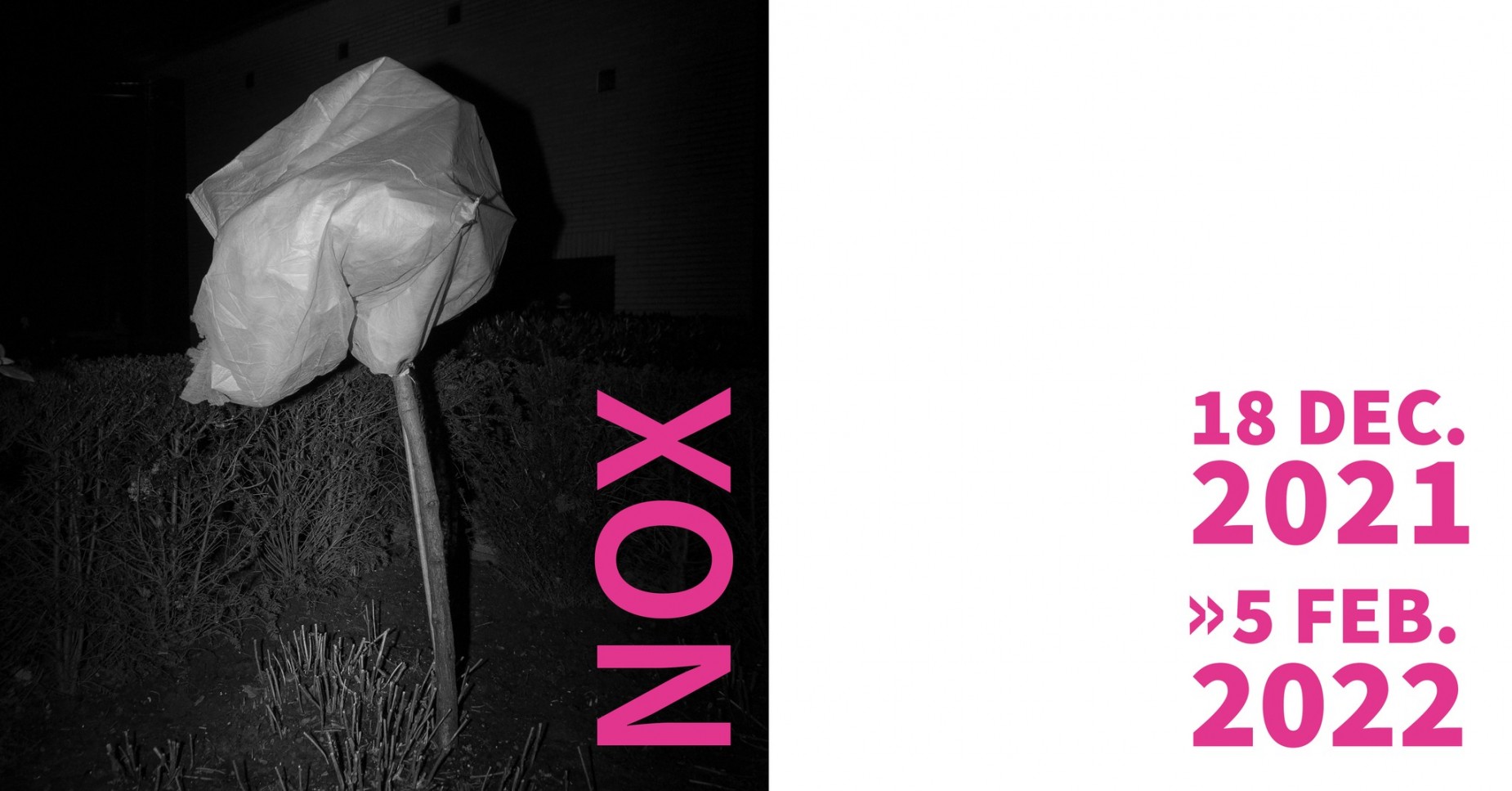 Foto tentoonstelling NOX - verlengd!