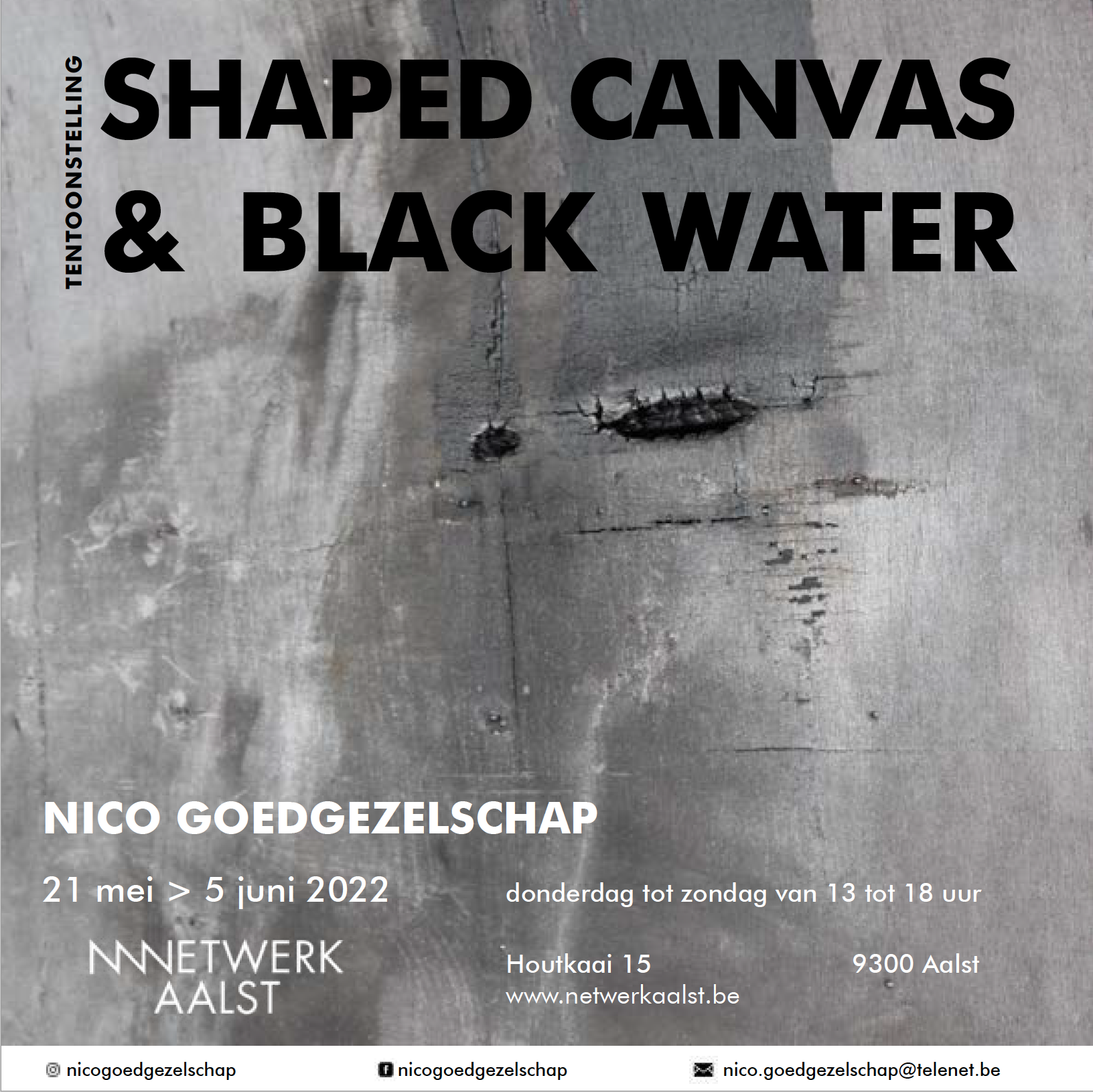Tentoonstelling  "SHAPED CANVAS & BLACK WATER"  21 mei tot 5 juni, NetwerkAalst, door Nico Goedgezelschap