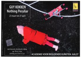 Tentoonstelling / Nothing Peculiar / Guy Kokken